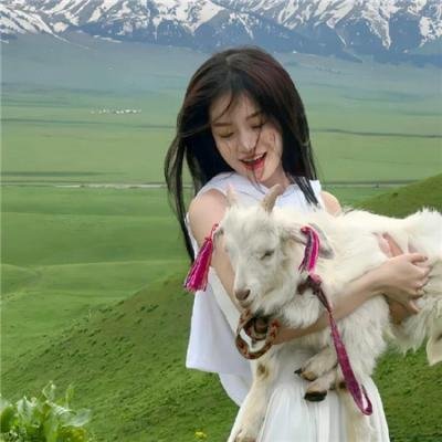 四平警事之钻石大劫案